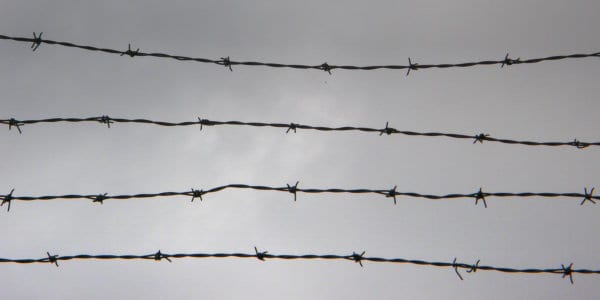 Barbed Wire