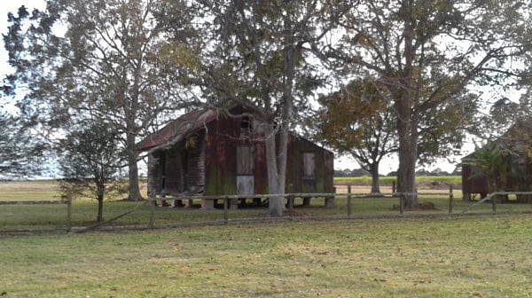 Slave Cabin in Trees