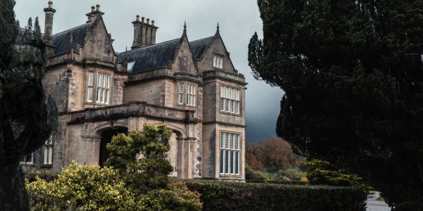 Old mansion with ghost face in tree