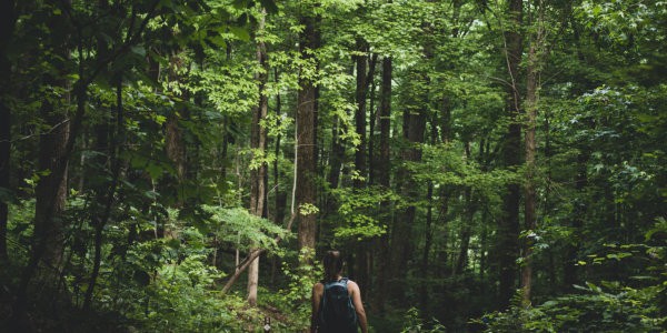 Woman walking in forest