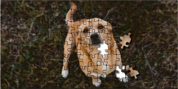 Dog puzzle with 2 pieces not completed