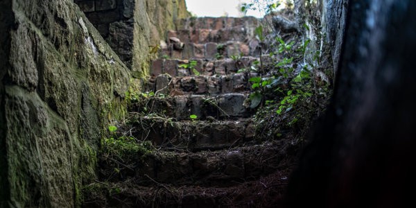 Deteriorated and overgrown stone steps.