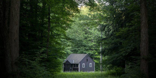 Small cottage in the middle of big forest.