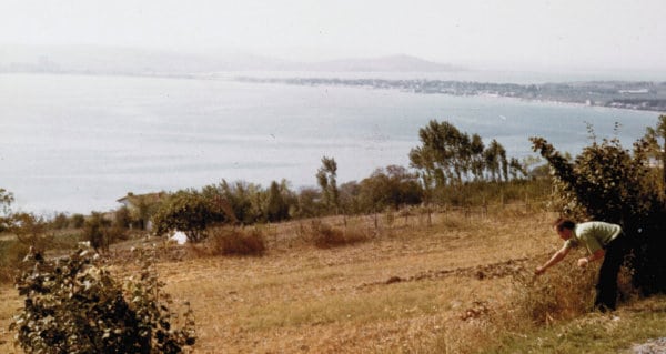 View from cabbage field