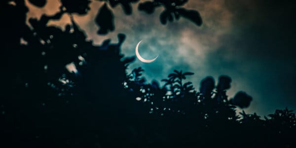 Coat hanger moon visible through leaves.