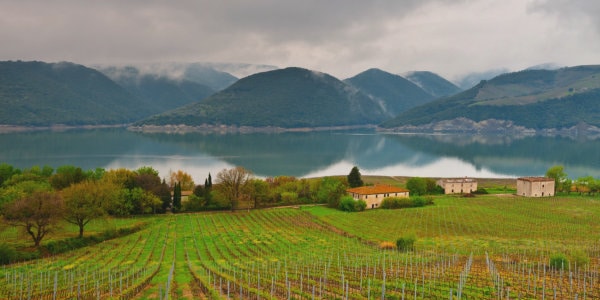 Lake Corbara in Italy, with vineyards in foreground.