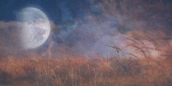 Misty moon above field.