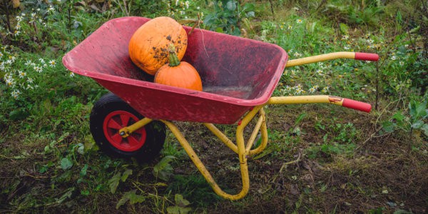 Two pumpkins in a ted wheelbarrow with yellow frame.