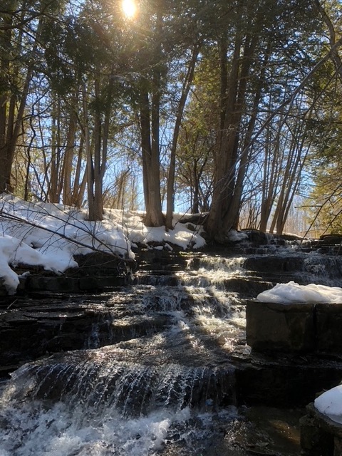 Waterfall in a snow-covered forest