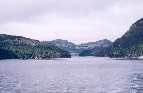 Looking inland from St. Jones Without. (Author's photo)