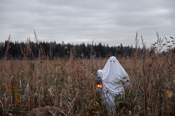 Halloween Ghost In A Field