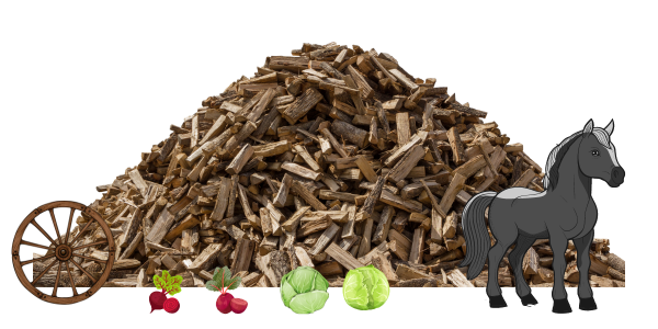 Little grey horse, a wagon wheel, two beets and two cabbages, in front of a woodpile