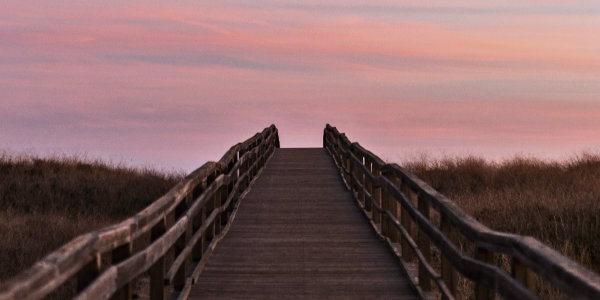 Wooden boardwalk/bridge