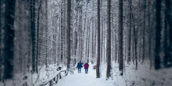 Couple walking in snow in forest