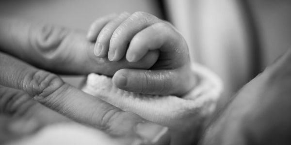 Baby holding onto an adult's finger