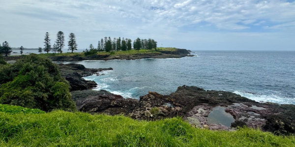 Coastal area with grass and trees