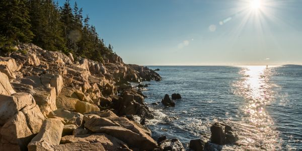 The Rocky Coast Of Maine