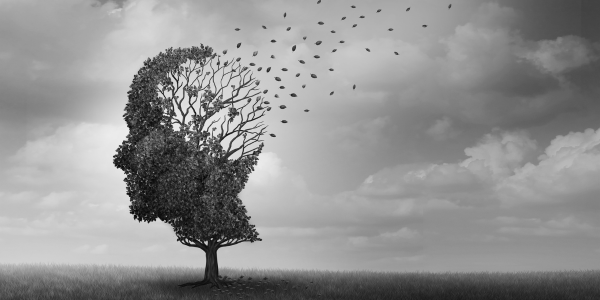 A tree shedding leaves. The tree looks like a head, where the leaves are shedding from the part where the brain would be. A metaphor for dementia.